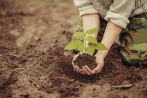 Since 1998, American Native Plants has provided millions of plants to landscapers and contractors throughout the mid-Atlantic region and beyond. 