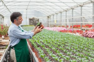 Selecting the right native plants is a crucial step in the planning process.