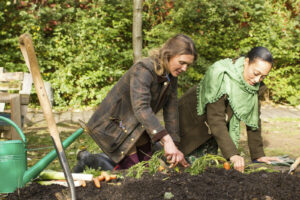 5 Native Plants Gardening Tasks for November