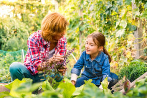 Visit American Native Plants for all of your spring gardening needs. 