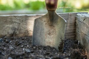 Fall Planting