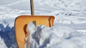 Careful not to damage your grass or plants while shoveling snow