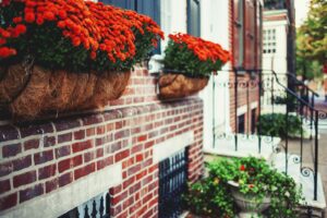 Discover how you can establish a beautiful container garden on your balcony or patio this summer!