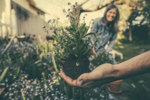 two people naturescaping in their garden